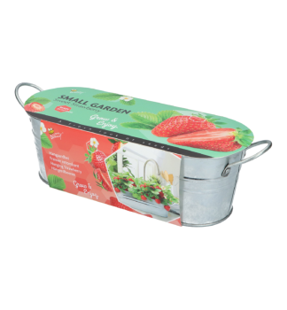 Pflanzset - SSSE ERDBEEREN