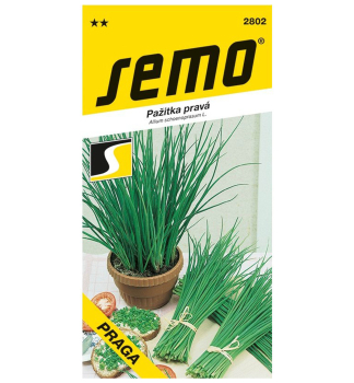 Samen � Schnittlauch �PRAGA�