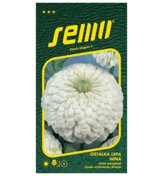 Samen - ZINNIE �NINA� wei�