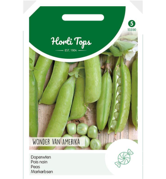 Samen - ERBSEN �AMERICAN WONDER� 100 g