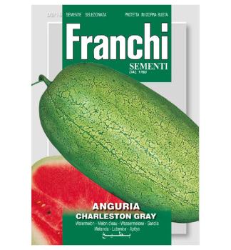 Samen - MELONE ANGURIA CHARLESTON GRAY