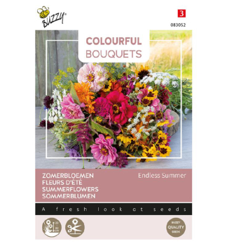 Samen - COLOURFUL SONNENBLUME �ENDELESS SUMMER�