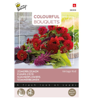 Samen - COLOURFUL SONNENBLUME  VINTAGE RED