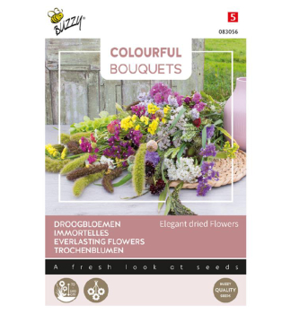 Samen - COLOURFUL TROCHENBLUMEN ELEGANT DRIED FLOWERS