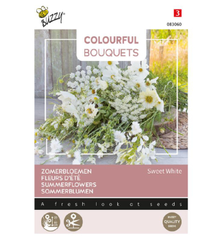 Samen - COLOURFUL SOMMER BLUMEN SWEET WHITE