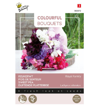 Samen - COLOURFUL DUFTENDE PLATTERBSE ROYAL FAMILY