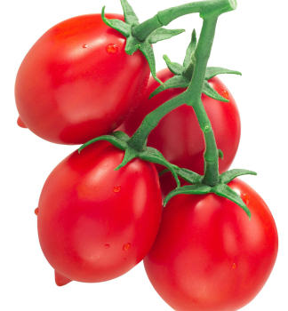 Tomate �ARNHEO�, Cont. 0,5 l