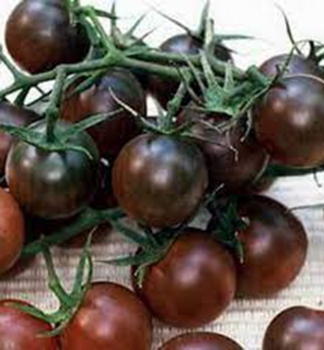 Tomate LUTHER, Cont. 0,5 l