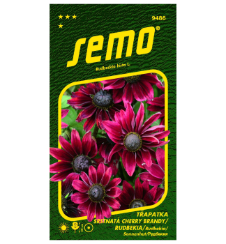 Samen - SONNENHUT (Rudbeckia) 'CHERRY BRANDY'
