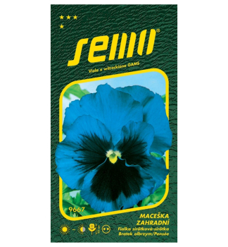 Samen - Stiefm�tterchen  BLAU