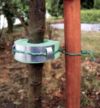GREEN GARDEN Binder, 30 cm, 2 Stck pro Packung