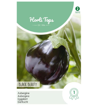 Samen -EIERFRUCHT 'BLACK BEAUTY'