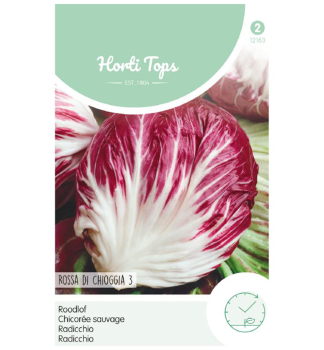 Samen - RADICCHIO 'ROSSA DI CHIOGGIA 3'