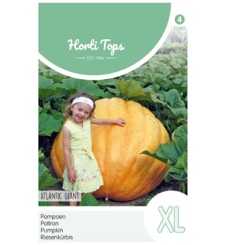 Samen - RIESENKRBIS 'ATLANTIC GIANT'