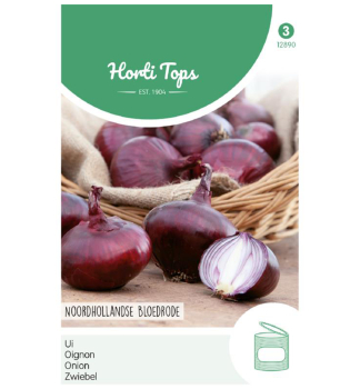 Samen -  ZWIEBEL NORTH HOLLAND BLOOD RED