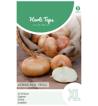 Samen - ZWIEBEL 'NORTH HOLLAND YELLOW'