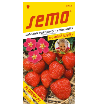 Semo GARTENERDBEERE �FLORIAN F1�