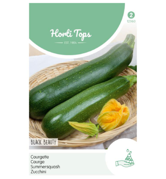 Samen - ZUCCHINI BLACK BEAUTY