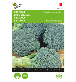 Samen - BROKKOLI 'CALABRESE NATALINO'