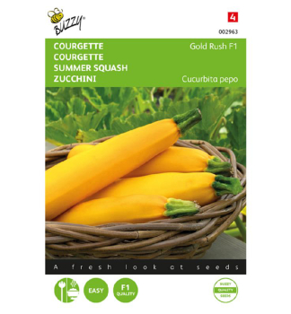 Samen - ZUCCHINI GOLD RUSH F1'