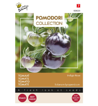 Samen - POMODORI TOMATE INDIGO ROSE