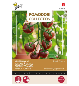 Samen - POMODORI KIRSCHTOMATE BLACK CHERRY