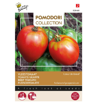 Samen - POMODORI TOMATE COEUR DE BOEUF