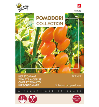 Samen - POMODORI KIRSCHTOMATEN 'DOLLY F1'