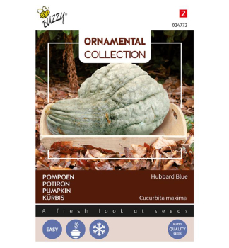Samen - KRBIS ORNAMENTAL HUBBARD BLUE