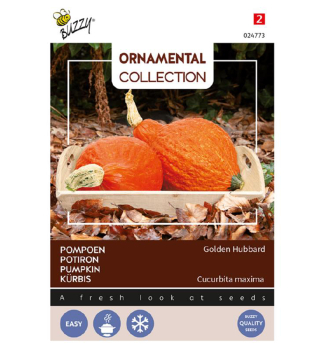 Samen - KRBIS ORNAMENTAL GOLDEN HUBBARD
