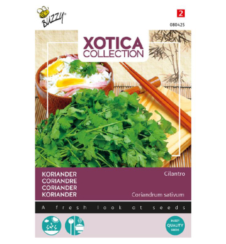 Samen - XOTICA KORIANDER CILANTRO