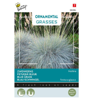Samen - ORNAMENTAL Blauschwingel FESTINA