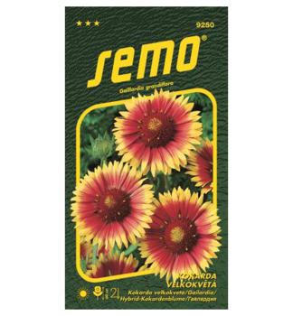 Samen � Kokardenblume