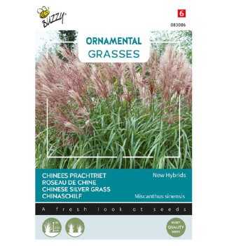 Samen - ORNAMENTAL CHINASCHILF NEW HYBRIDS