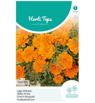 Samen - STUDENTENBLUME TANGERINE