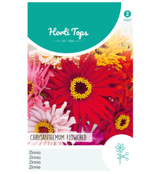 Samen - ZINNIE CHRYSANTHEMUM FLOWERED mischung