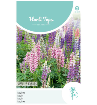 Samen - LUPINE RUSSELS HYBRIDS Mischung