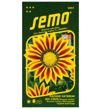 Semo Mittagsgold 'DAYBREAK RED STRIPE'