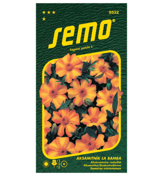 Samen - STUDENTENBLUME �LA BAMBA�