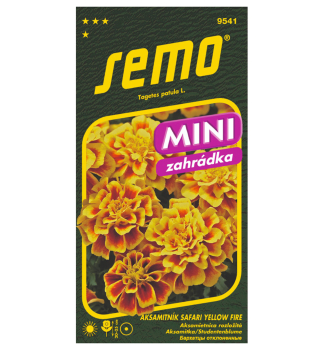 Samen - STUDENTENBLUME  �SAFARI YELLOW FIRE�