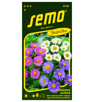 Samen - Alpenaster -Mischung