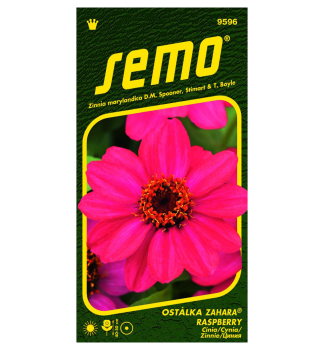 Samen - ZINNIE �ZAHARA RASPBERRY�