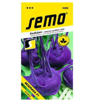 Samen - KOHLRABI 'MODRAVA'