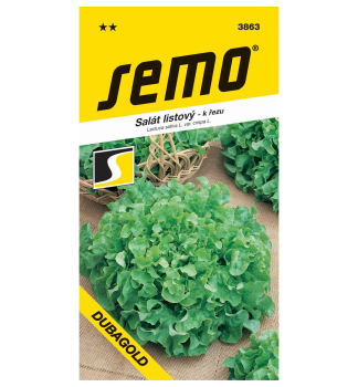 Samen � Blattsalat �DUBAGOLD