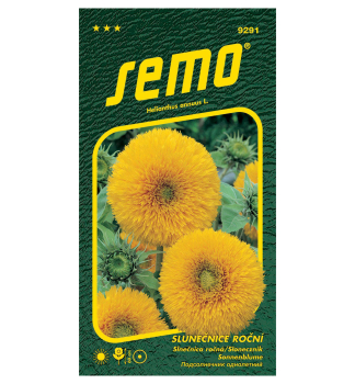 Samen - SONNENBLUME 'TEDDY BEAR'