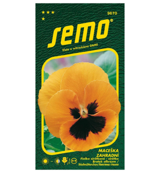 Samen -  Stiefm�tterchen orange mit einem Auge