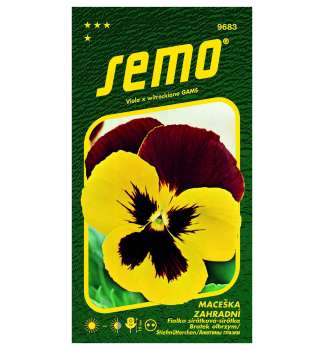 Samen -  Stiefm�tterchen gelb-rot