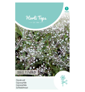 Samen - SCHLEIERKRAUT wei�