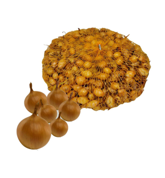 Steckzwiebeln 'CARBALLO' 8-15 mm, 250 g