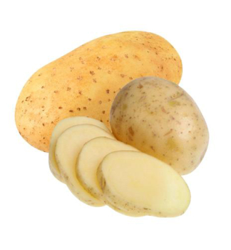 Saatkartoffeln 'ALEGRIA' 1kg